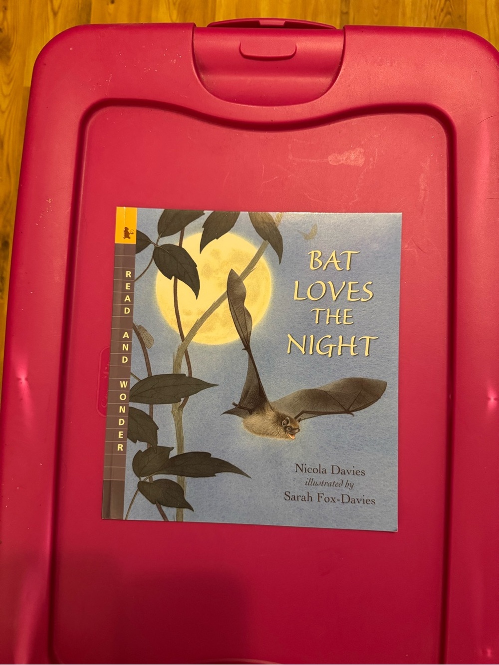 Bat Loves The Night Book
